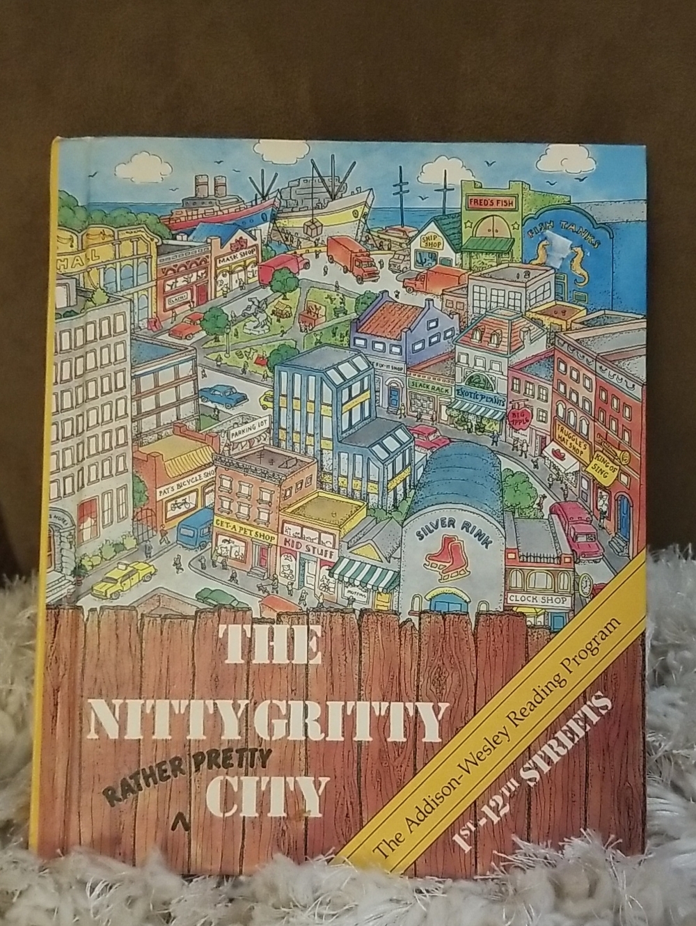 The Nitty Gritty (Rather Pretty) City Kids Book